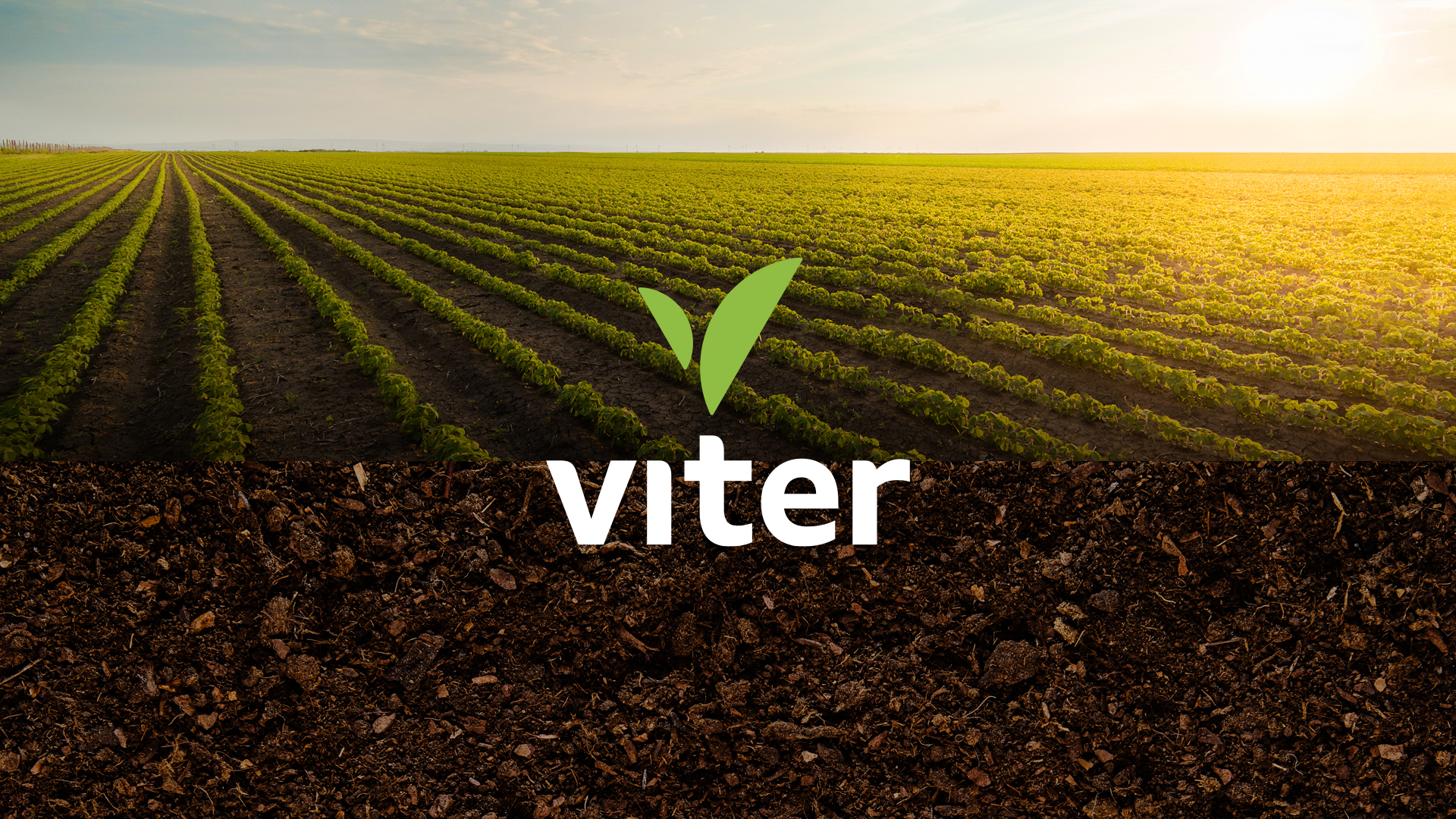 Viter_Montagens_Topo-1