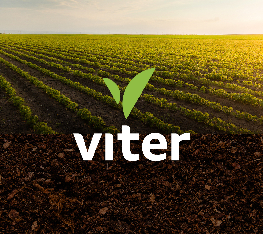 Viter_Topo_1080